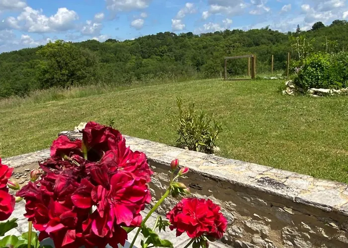 Panzió Domaine Rossignol Tournesol 3*